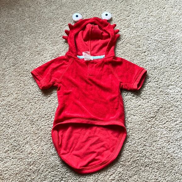 Martha Stewart Pets Size Large Crab Dog Costume - Picture 1 of 5